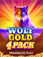 รีวิว เว็บ สล็อต mgm เล่นง่าย ได้เงินจริง